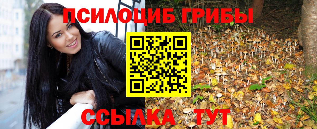 Галлюциногенные грибы Cubensis Наро-Фоминск